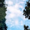 comment-user-thumbnail