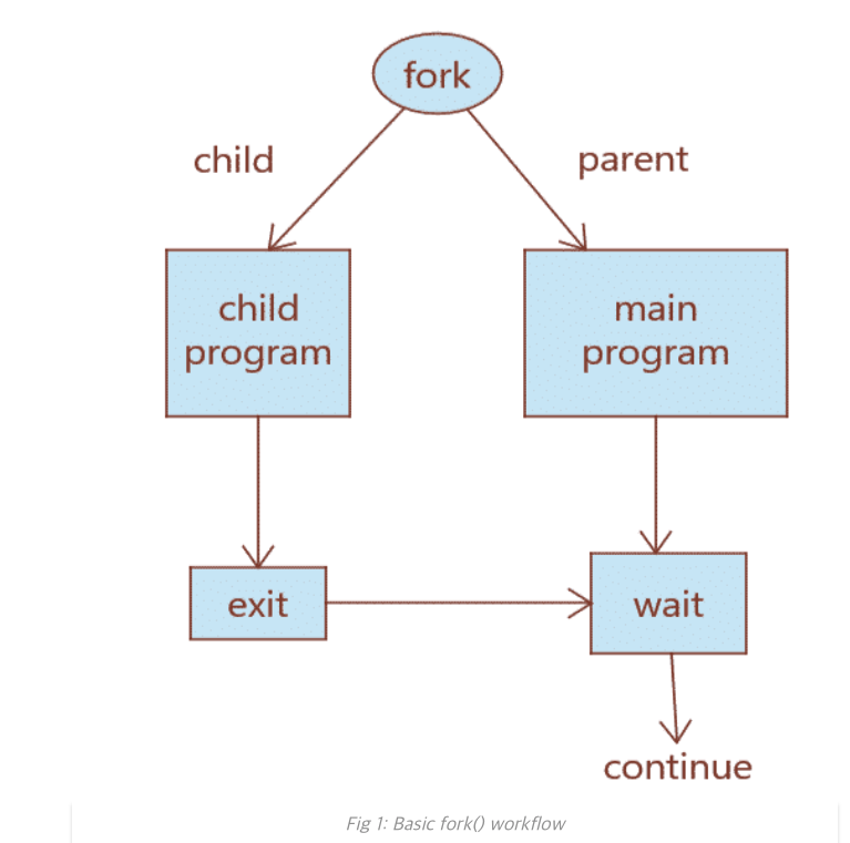 Системный вызов fork. Fork функция. Fork Linux. Fork процессы.