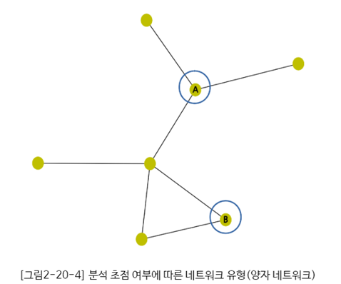 분석초점여부 - 양자