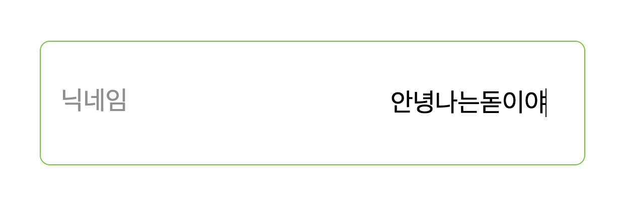input 빨간 밑줄 예시