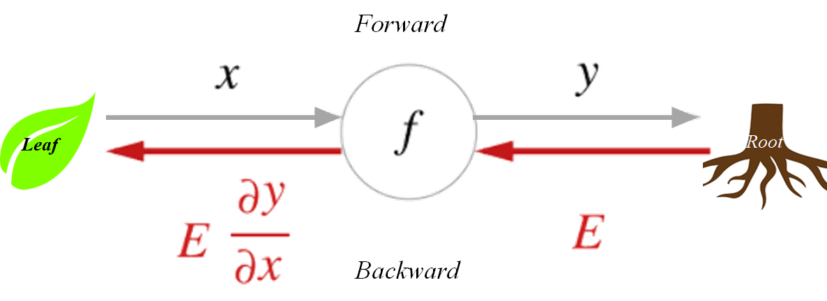 Computational Graph