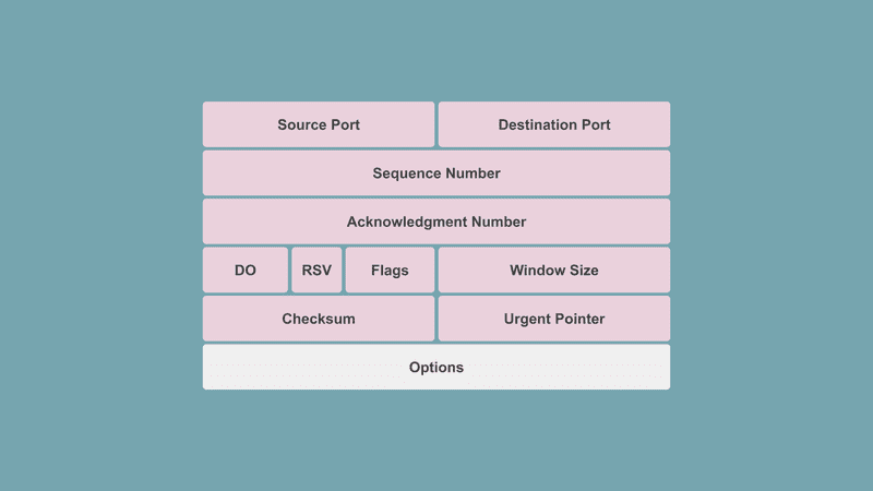 TCP 헤더 구조