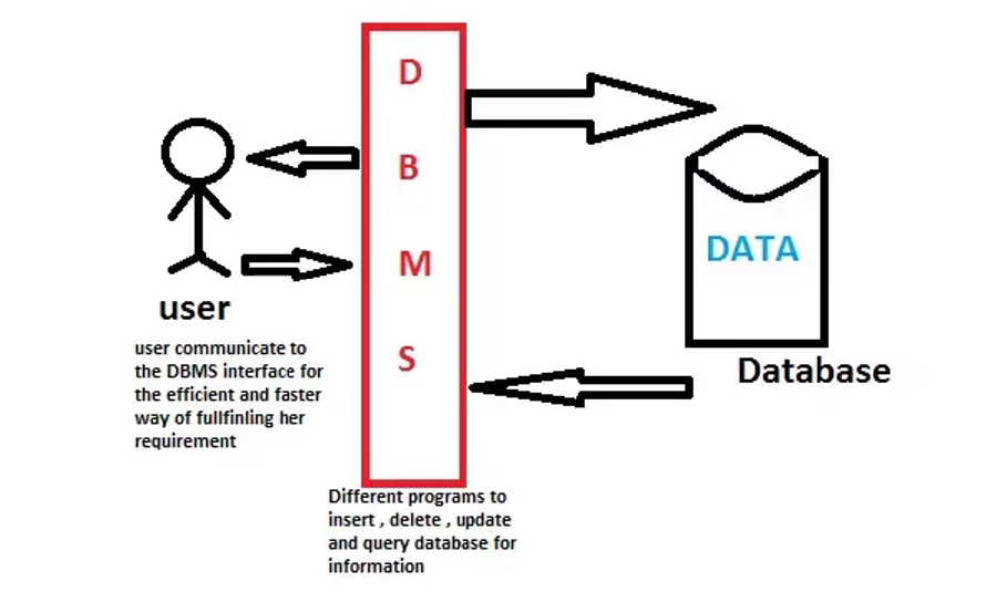 DBMS