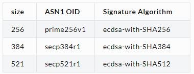 ECDSA key size option