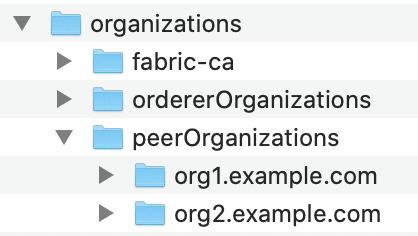 조직 파일 이미지