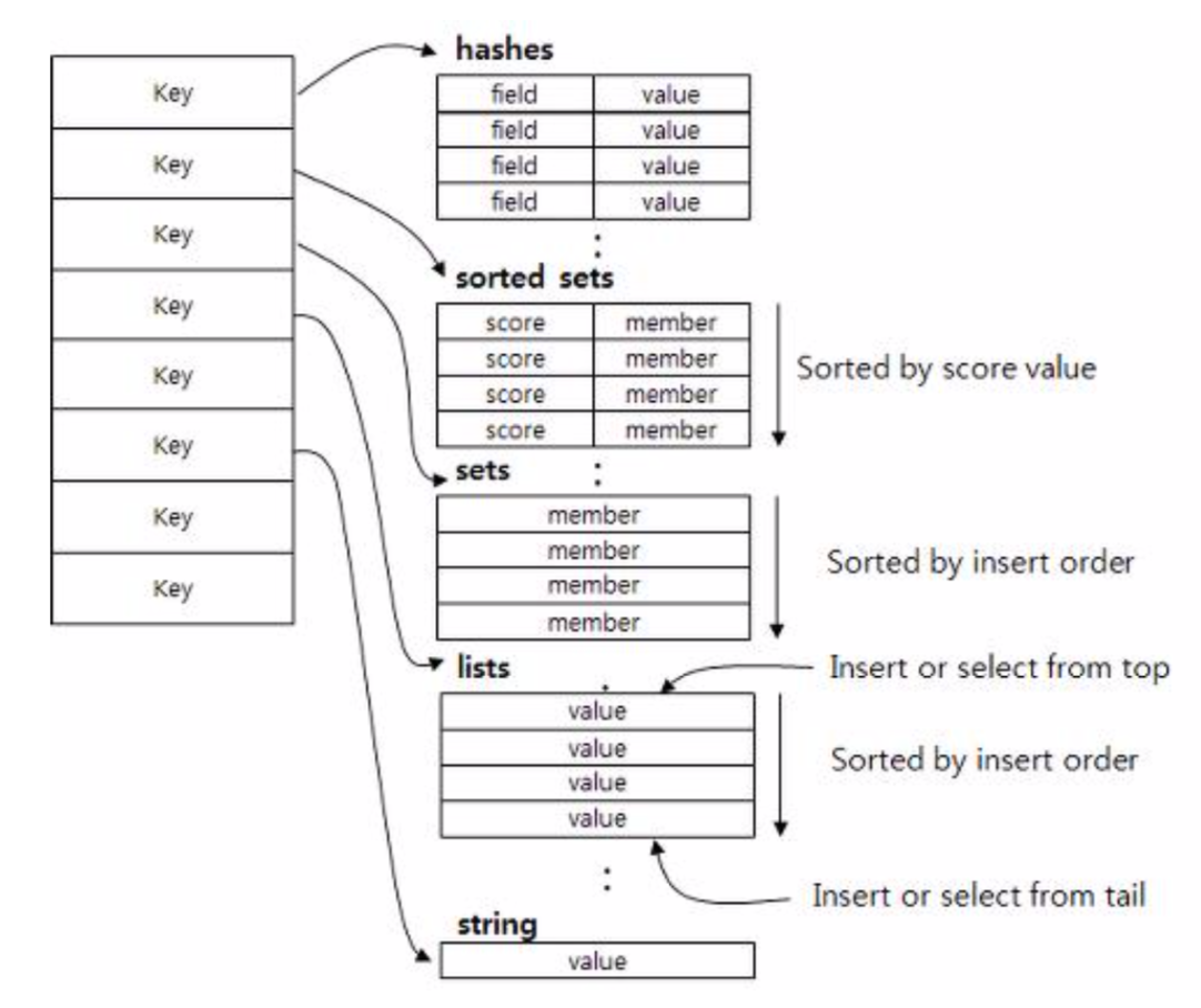 Redis 데이터 구조