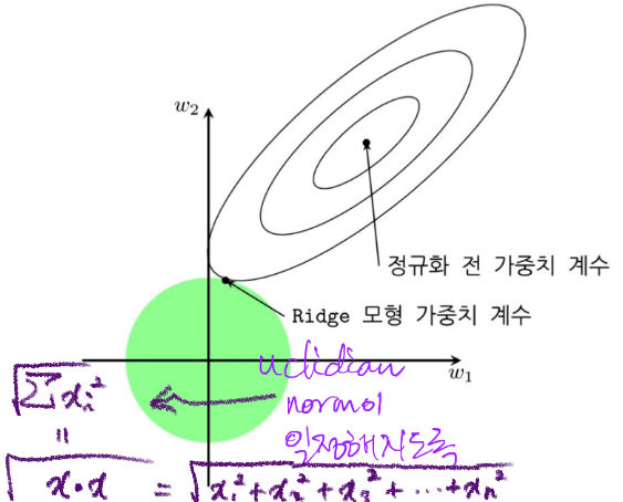 릿지 기하