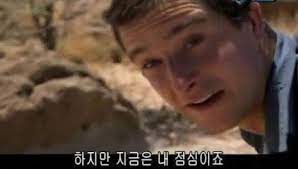 야생에서 살아남자