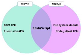 브라우저와 Node.js 환경