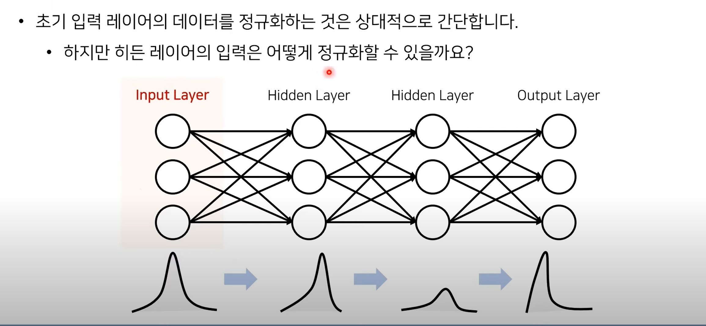 히든 정규화