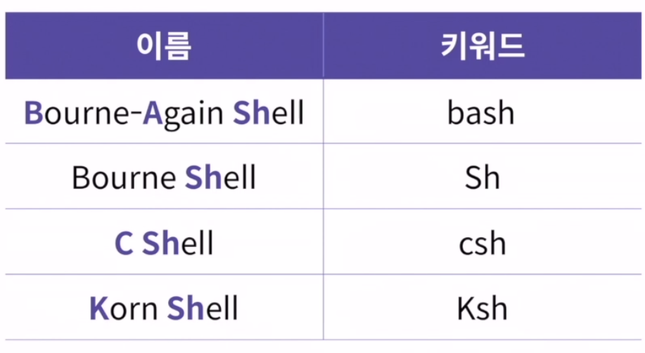 shell의 종류