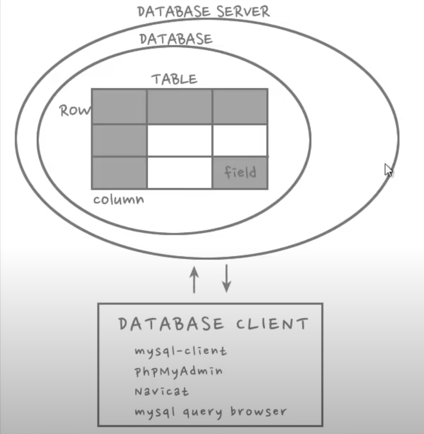 데이터베이스 구조