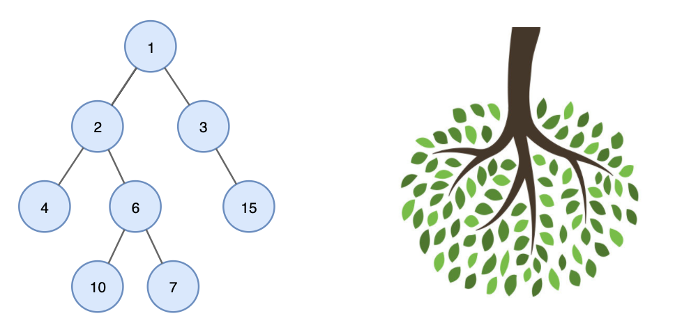 트리(Tree)