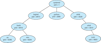 process tree