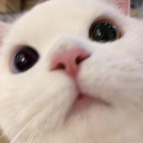 comment-user-thumbnail