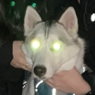 comment-user-thumbnail