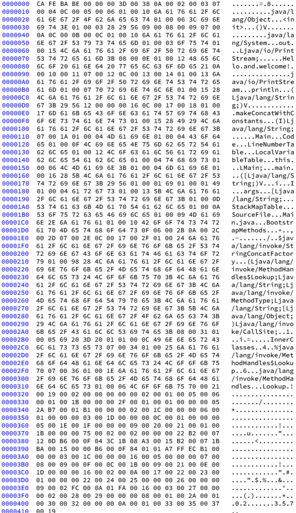 java bytecode and hexadecimal format: (a) java... JAVA 스터디그룹 1주차