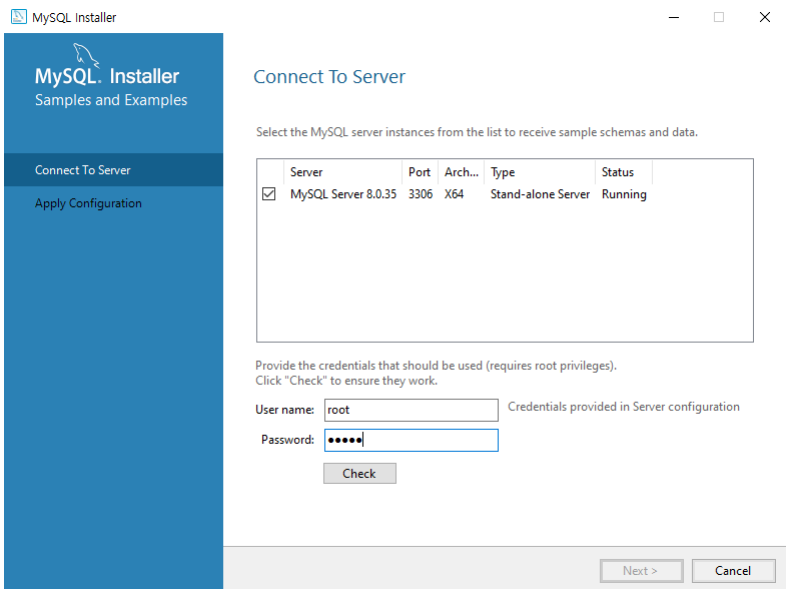 Connect To Server > password 입력하고 check