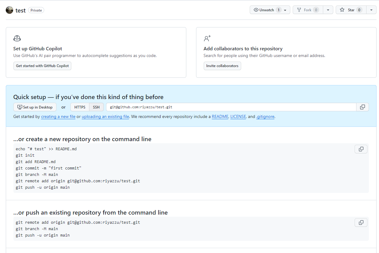 github NewRepository2