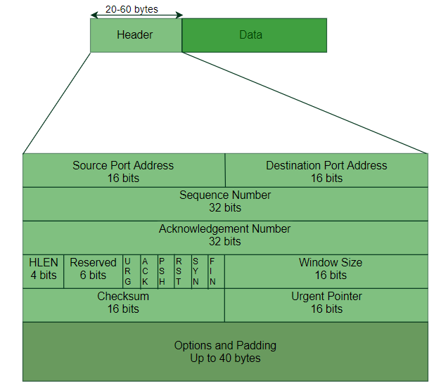 TCP UDP