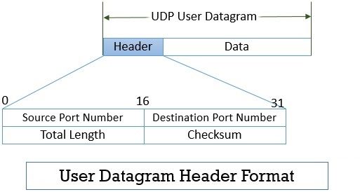 TCP UDP