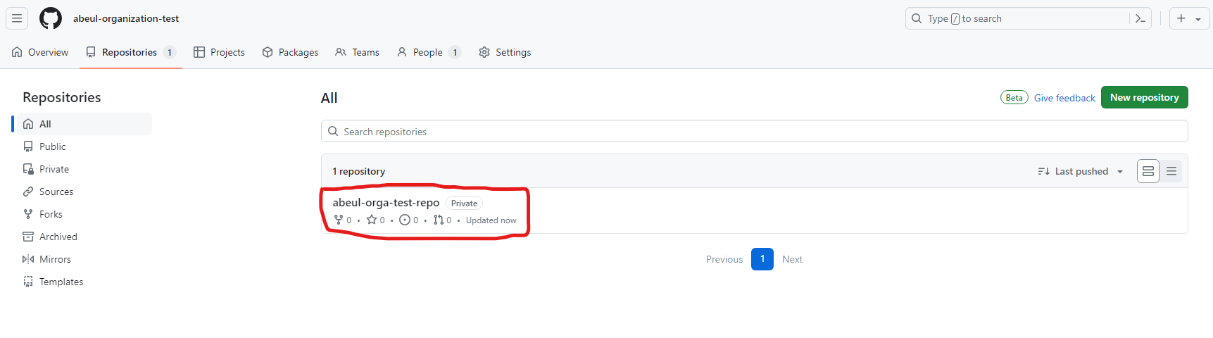 GitHub 연동 & Organization 생성