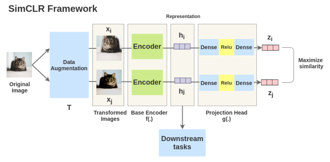 Week 04 | Self-Supervised Learning