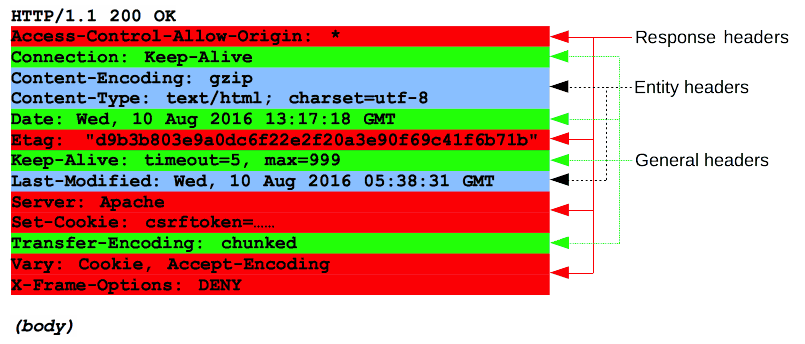 What is HTTP message Body?
