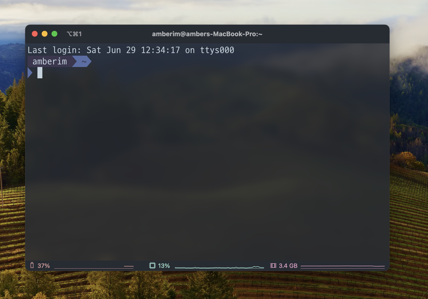 Final look of my customised iTerm2 window
