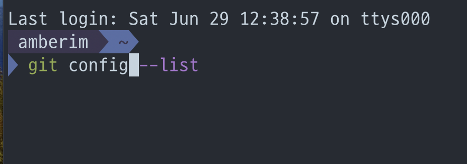 screenshot of iTerm2 showing plugins applied
