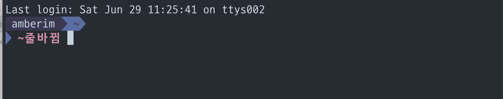 Result of demonstration showing taht commnad line always starts under the directory path
