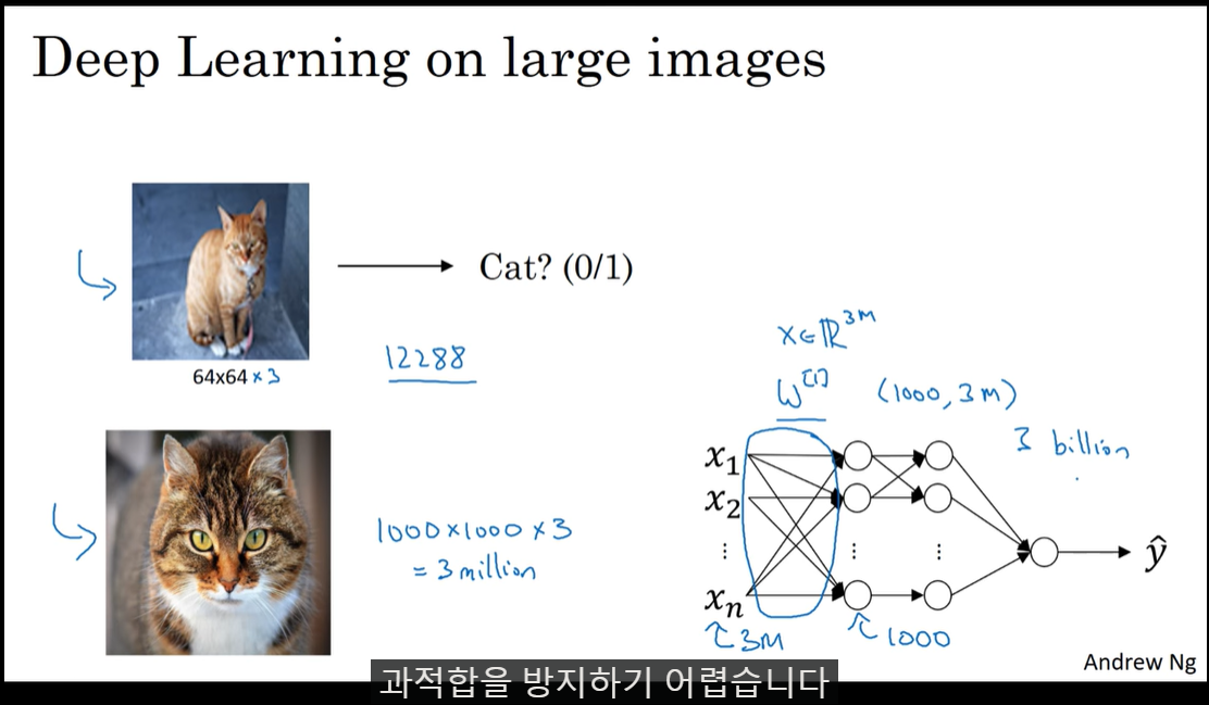 Convolutional Neural Networks