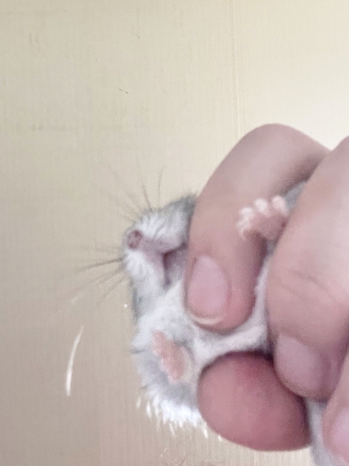 comment-user-thumbnail