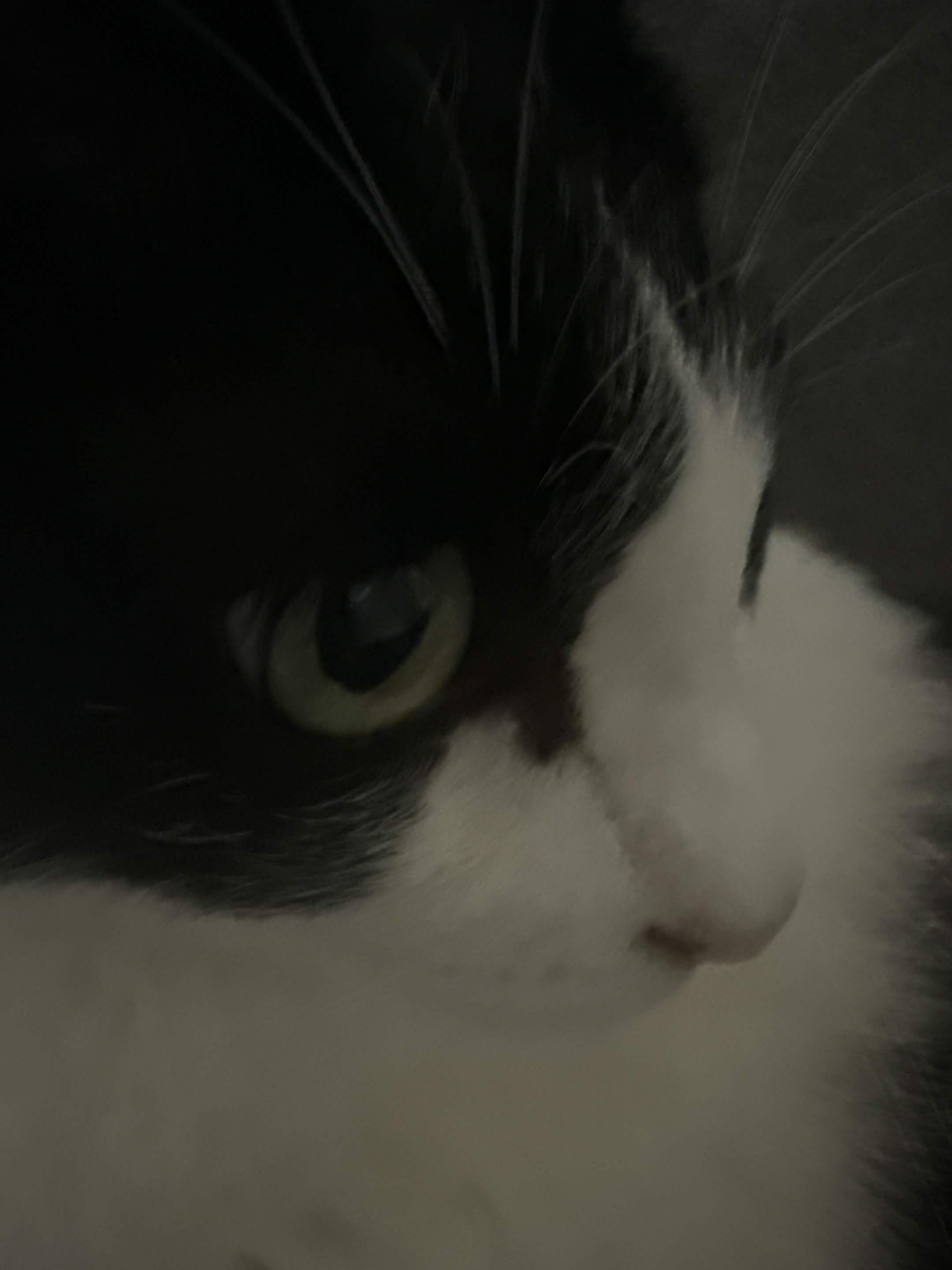 comment-user-thumbnail