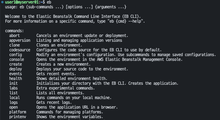 [AWS] EB CLI 설치