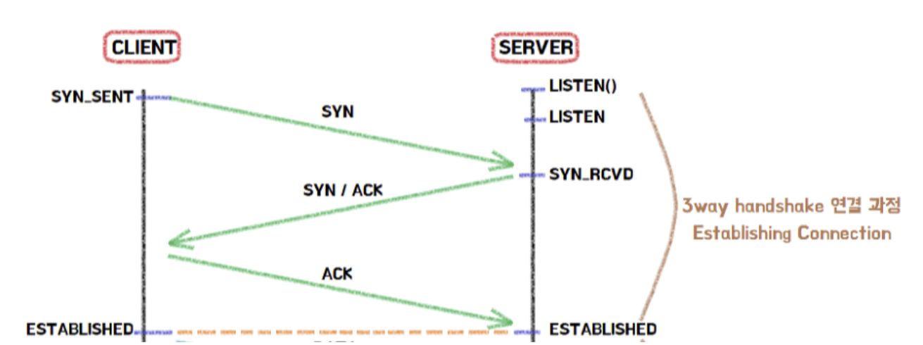 TCP / UDP