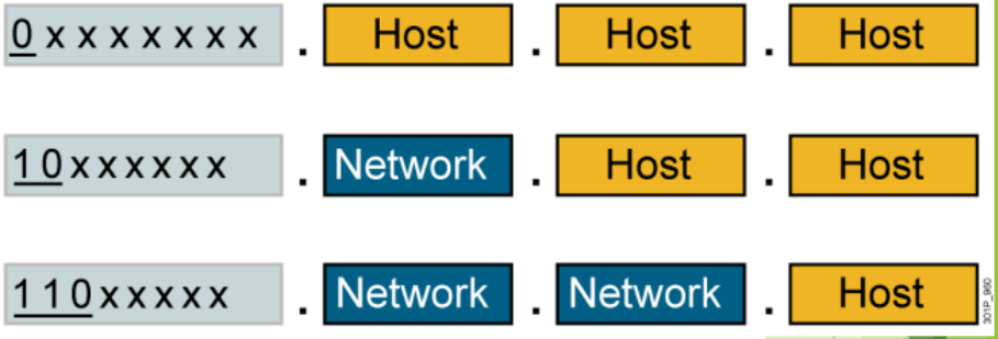 Classification