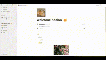 notion project demonstration in pc web