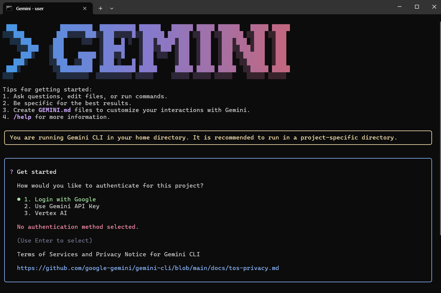 Windows 환경에서 Gemini CLI 설치 및 구독 연결