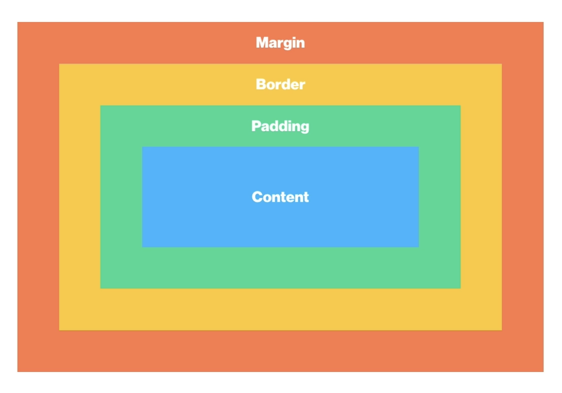 box model