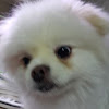 Velog profile picture for @bailey