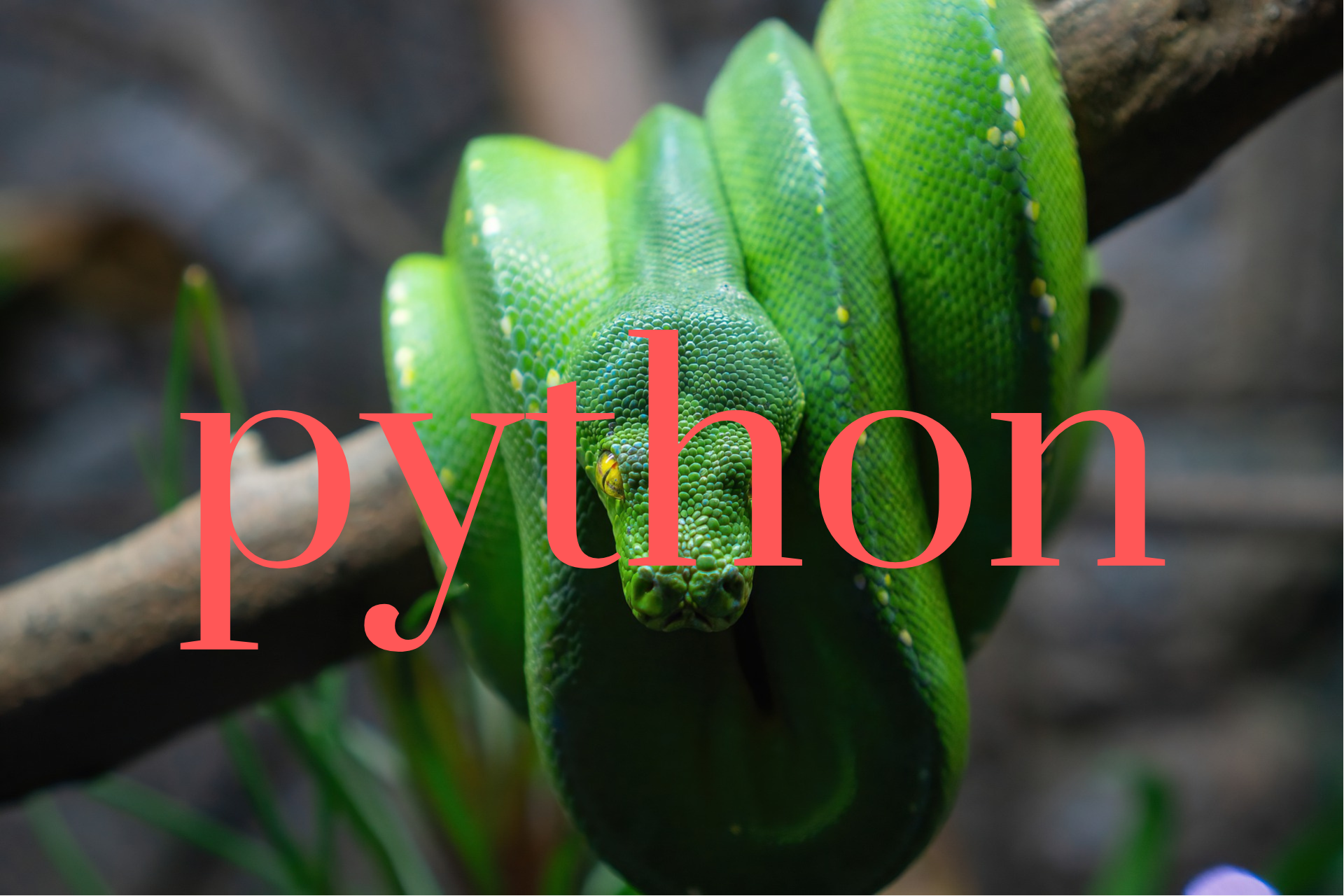 python basic - (1) python 시작하기