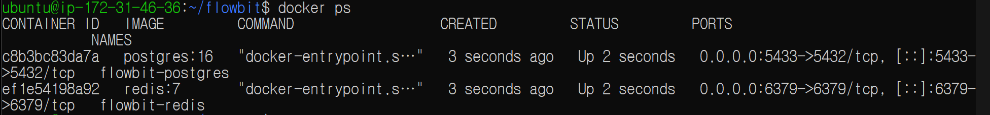 Docker Compose 컨테이너 실행 결과