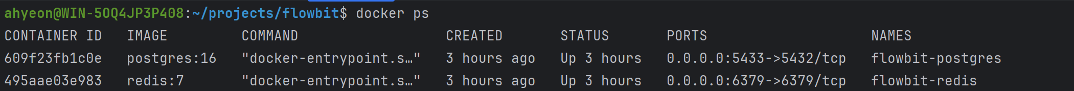 docker 컨테이너 실행 상태 (postgres, redis)