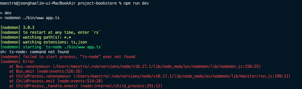ts-node not install error
