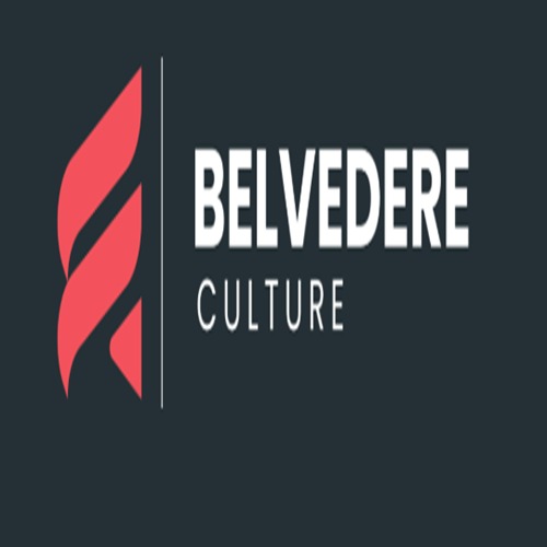 Velog profile picture for @belvedere