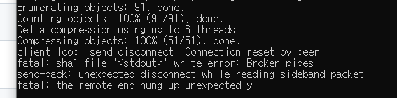 git push 중단 오류