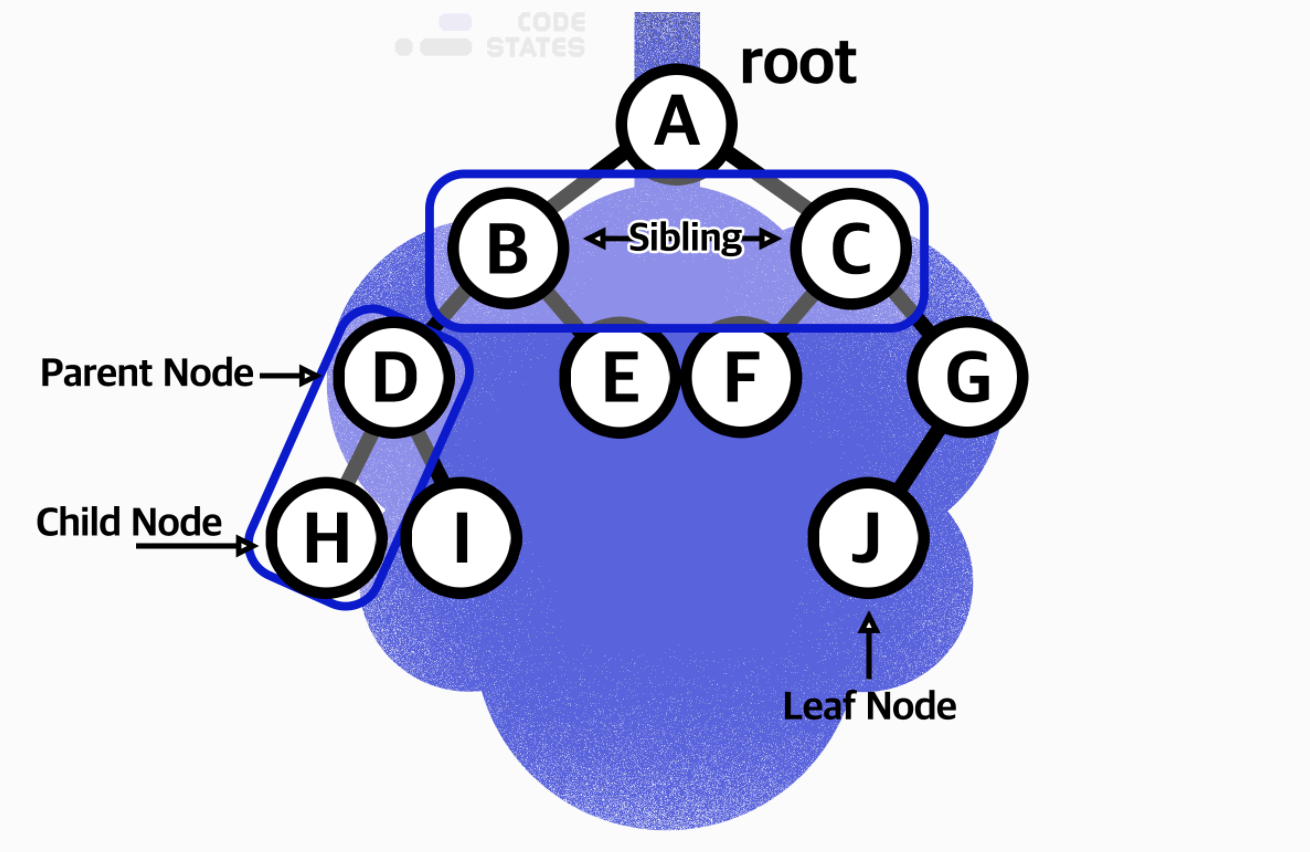 [data structure] Graph / Tree image.