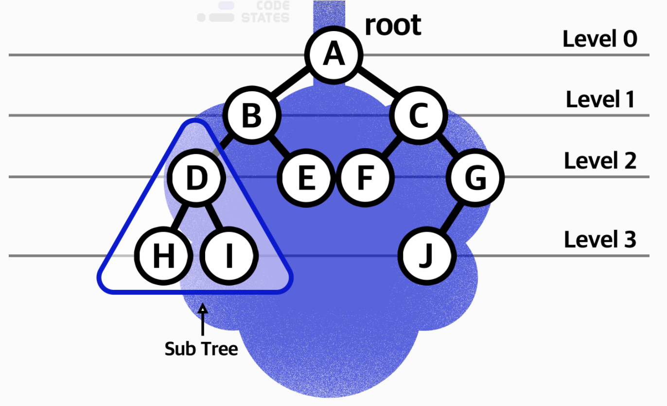 [data structure] Graph / Tree