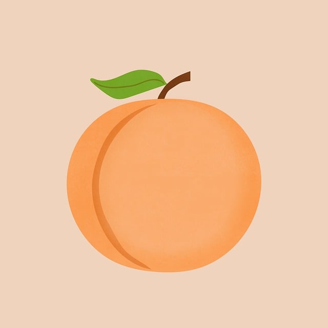 Velog profile picture for @birdie